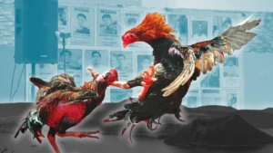 Sức Hút Khó Cưỡng Của Đá Gà Sabong Tại GO88 Đẳng Cấp Thế Giới